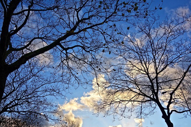 Alle franjes eraf - Netwerk Schrijfmeditatie november 2025