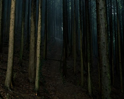 Donker - Netwerk Schrijfmeditatie